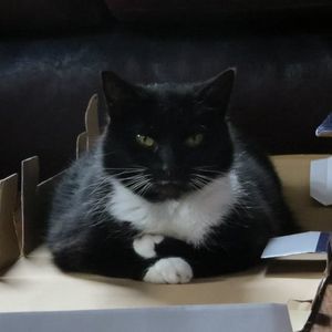 Meet your Posher, Ed